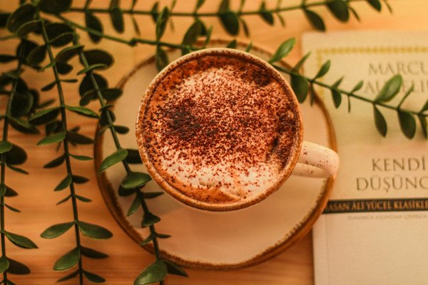 Maîtrisez l'Art des Produits de Beauté Naturels : Les Meilleurs Tutoriels à Explorer!